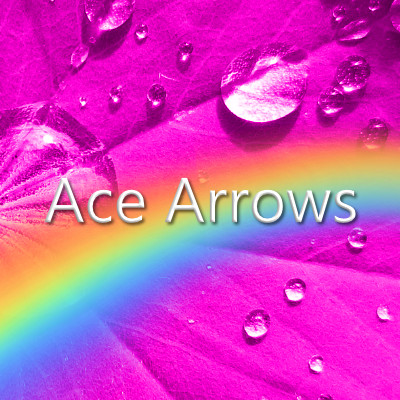 Ace Arrows