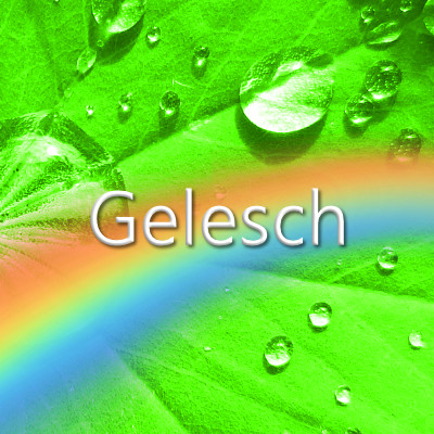 Gelesch