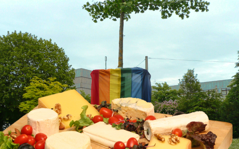 CSD 2022: Picknick im Stadtpark unter dem Fliederlich-Menschenrechtsbaum